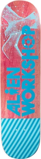 boardparadise-1202605131449503825066
