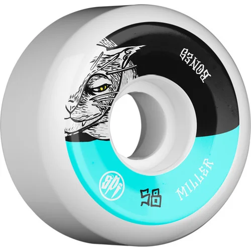 boardparadise-2202605140901473940420