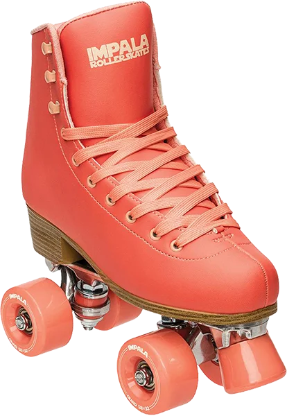 boardparadise-2202605151141304135257