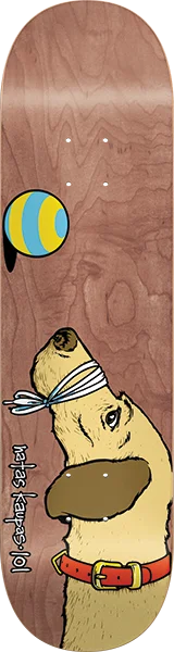 boardparadise-3202605131706213843086